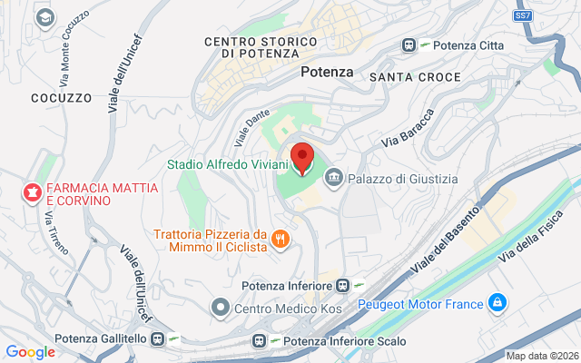 Stadio Alfredo Viviani